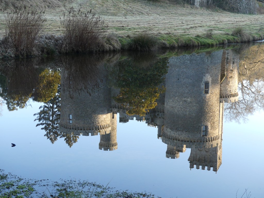 Reflet du château de Montbrun dans son étang.